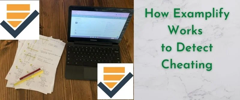 How Examplify Detects Cheating