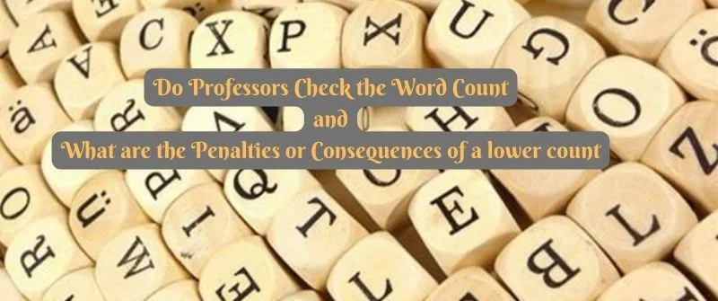 Check the Word Count
